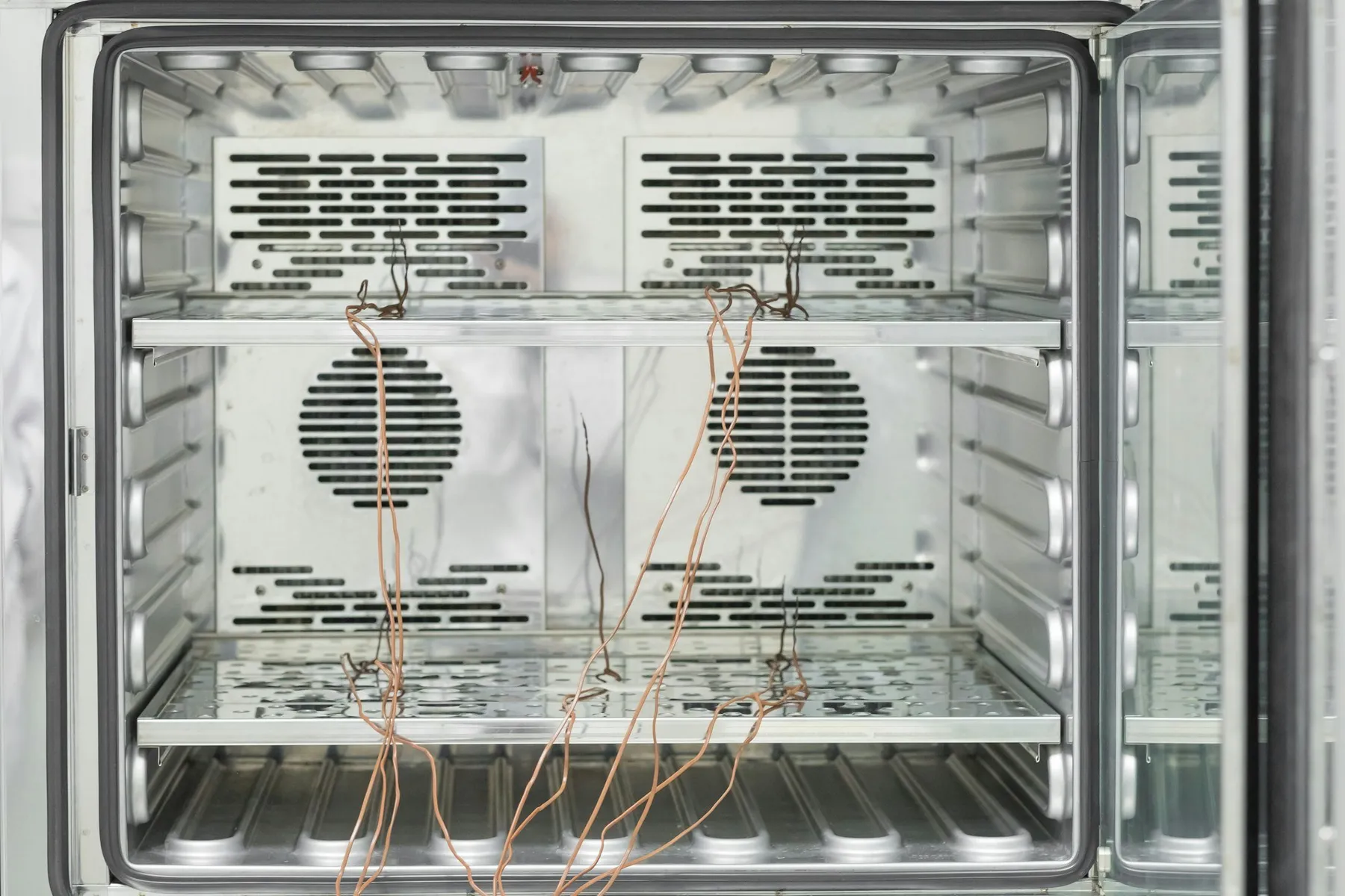 Inside of a laboratory oven with thermocouple probes installed for calibration